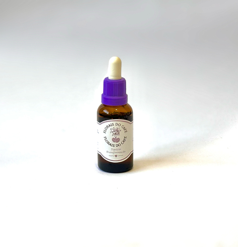 Floral Topázio Transformação - 50 ml