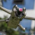 Sunnylife Filter for DJI Mini 4 Pro Drone ND 256 on internet