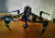 DJI Inspire 2 + 2 controllers + 6 batteries RATING: 9/10 on internet