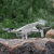 STARTRC Foldable Landing Gear for DJI Lito / X1 Drones on internet