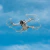 Protector de hélices STARTRC para Drone DJI Mini 3 Pro - comprar online