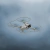 Protector de hélices STARTRC para Drone DJI Mini 3 Pro en internet