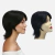 Peruca Wig Cabelo Humano Liso Sara Castanho - loja online