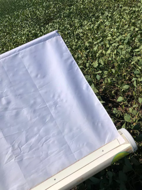 Paño para muestreo de plagas