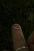 Piercing fake torcidinho na internet