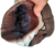 Gorro de lana Capibara en internet