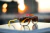 Ray-Ban RB4228-M Ferrari Lente Brown Marco Carey - comprar online