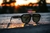 Ray Ban Corrigan Negro/Marron en internet