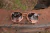 Ray-Ban Double Bridge Pink Degrade - rayhub