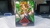MasterVerse Magic Knight Rayearth (Verde) com Card de Batalha - Master Retro Games Prensados 
