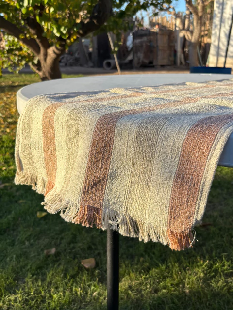 Camino Colours - comprar online