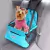 Cadeira de Transporte Chalesco Para Cães - comprar online
