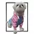 Roupa Moletom Cotton Baby