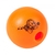 Brinquedo Bola Adestramento - Pet Salto