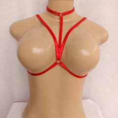 ARNÉS ZOE en internet