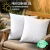 Almohadones 40x40 Impermeables Exterior Con Relleno x2 - tienda online