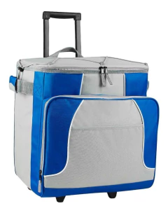 Imagen de Hielera Trolley Plegable Con Asa De Mano