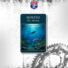 Ímã Resinado Brasil - Bonito (MS) Mergulho - comprar online
