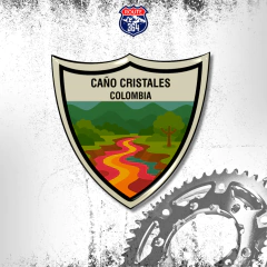 Ímã Resinado Colombia - Caño Cristales Placa - comprar online