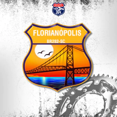 Adesivo Resinado Brasil - Florianópolis SC (BR282)
