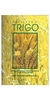 Colhendo o Trigo - Estudos Sobe os S dos Profetas Maiores e dos Profetas Menores - Autor: Sara Victalino Gueiros Dodd (2007) [usado]