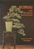 Bonsai With Australian Native Plants - Autor: Dorothy e Vita Koreshoff (1993) [usado]
