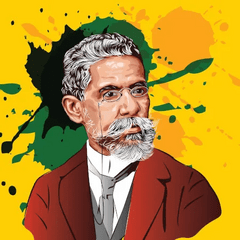 Categoria 1