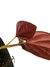 Syngonium erythrophyllum 'Red Arrow' na internet