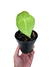 Anthurium kollmani