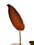Imagem do Philodendron 'Summer Glory' baby