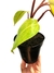 Philodendron 'Painted Lady' na internet