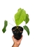 Philodendron tenue M