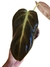Philodendron luxurians - comprar online