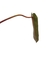 Philodendron spiritus-sancti M - loja online