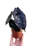 Alocasia azlanii - comprar online