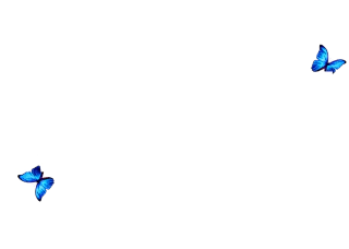 Moscú Showroom