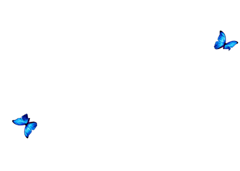 Moscú Showroom