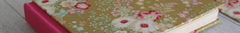 Banner da categoria Diários