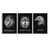 Kit 3 Quadros Animais Motivacional Disciplina, Foco e Execução - comprar online