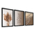 Kit 3 Quadros Gratidão Praia Palha Marrom - Elquadro - Quadros Decorativos