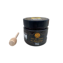 Mel de Melato da Bracatinga 250g com Caixa - comprar online