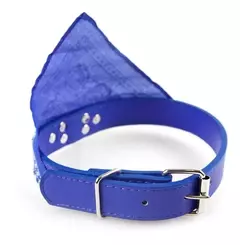 Collar Perro Chico/mediano Con Panuelo Bandana 40cm en internet