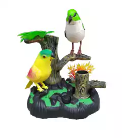 Pavo con sonido - Son Rachas