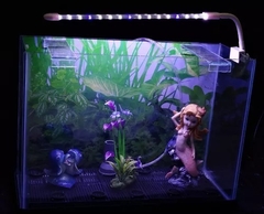 Iluminador Lámpara Led Con Clip J-360 Pecera De 40 A 60 Cm en internet