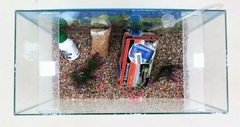 Kit Pecera Completa 40x30x20 - comprar online