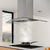 Campana TST Lacar Isla - tienda online