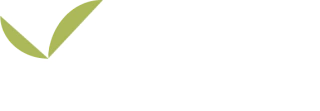 Essência do Chá