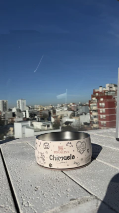 LÍNEA MASCOTAS CHIMU JULIPO ✨: PET BOWL STANLEY| 709 ml FULL PERSONALIZADO - BY JULIPO - tienda online