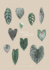 Lámina Botanical - comprar online