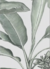 Imagen de Mural FLORECER by Magia Deco Lab (cubre 5 m2)